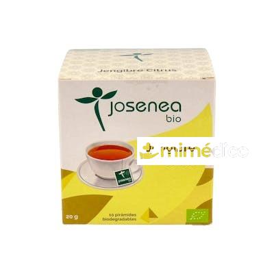 JENGIBRE-CITRUS 10PIRAMIDES ENSOBRADAS BIO JOSENEA