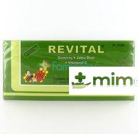 REVITAL GINSENG+JALEA REAL+VIT C 20 AMP