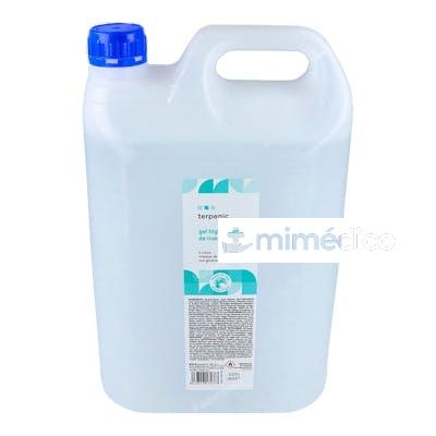GEL HIDROALCOHOLICO HIGIENIZANTE ALOE 5000ML. TERPENIC EVO