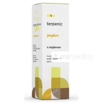 JENGIBRE ACEITE ESENCIAL 5ML TERPENIC EVO