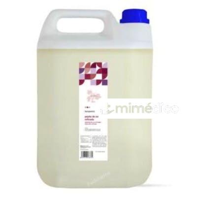 PEPITA DE UVA REFINADO ACEITE VEGETAL 5LITROS TERPENIC EVO