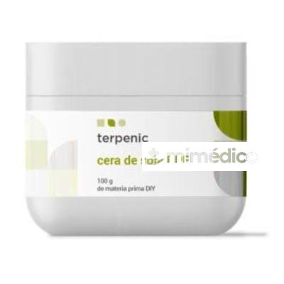 CERA DE SOJA B.P.F. 100GR. TERPENIC EVO