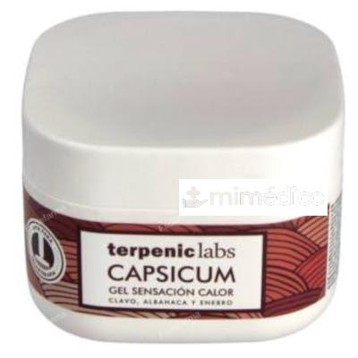 CAPSICUM GEL CALMANTE ACCION CALOR 500ML. TERPENIC EVOPRO