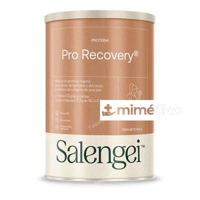 PRO RECOVERY PROTEINA DE GUISANTE 500GR. ACTIVE FOODS