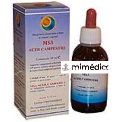 MSA ACER CAMPESTRE YEMAS 50ML. HERBOPLANET