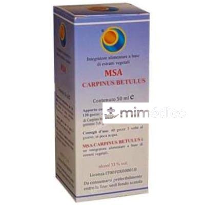 MSA CARPINUS BETULUS YEMAS 50ML. HERBOPLANET