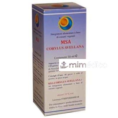 MSA CORYLUS AVELLANA YEMAS 50ML. HERBOPLANET