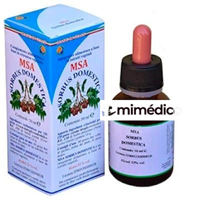 MSA SORBUS DOMESTICA YEMAS SERBAL COMUN 50ML. HERBOPLANET