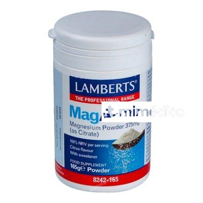 MAGASORB POLVO 165GR.  LAMBERTS