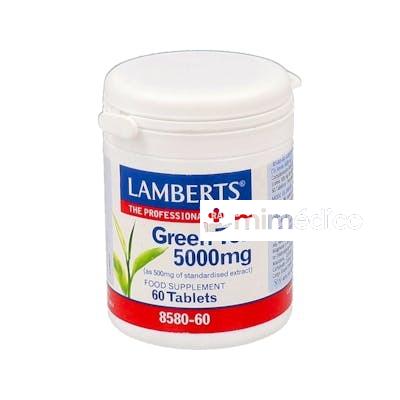 TE VERDE 60COMP. LAMBERTS