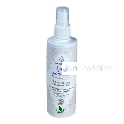 SPRAY PURIFICANTE HIDROALCOHOLICO 100ML. BIO ESENTIAL AROMS