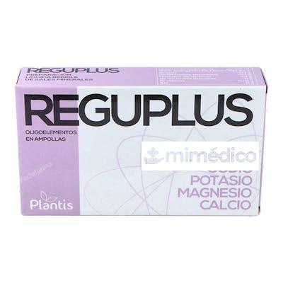 REGUPLUS 20AMP. ARTESANIA