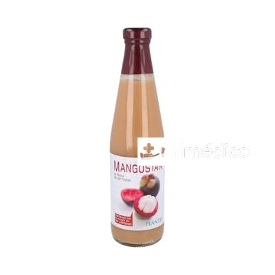 MANGOSTAN ECO PLANTIS 500ML. ARTESANIA