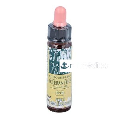 SCLERANTHUS PLANTIS FLORES DE BACH Nº 28 10ML. ARTESANIA
