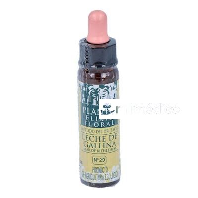 STAR OF BETHLEHEM PLANTIS FLORES DE BACNº 29 10ML. ARTESANIA