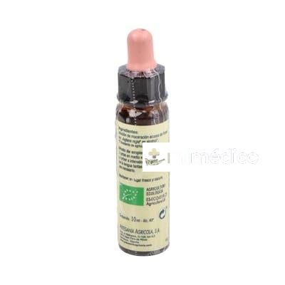 WALNUT PLANTIS FLORES DE BACH Nº 33 10ML. ARTESANIA