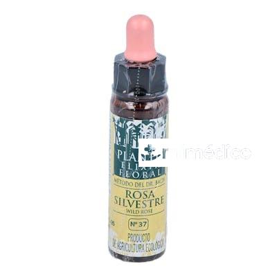 WILD ROSE PLANTIS FLORES DE BACH Nº 37 10ML. ARTESANIA
