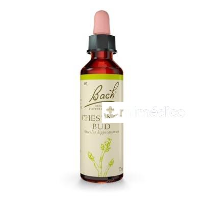 FLORES BACH CHESTNUT BUD BROTE CASTANO 20ML. FLORES BACH ORIGINAL
