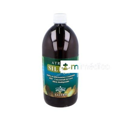 ARTRION SILICIO COMPLEX 1LITRO JELLYBELL