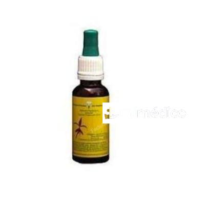 ZARZAMORA  E.F.MEDITERRANEO  20 ML. E.F.MEDITERRANEO