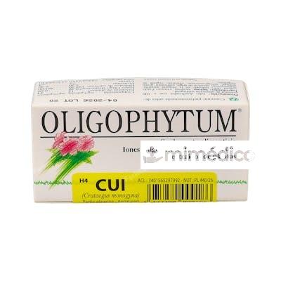 OLIGOPHYTUM H4 CU 100GRA HOLISTICA