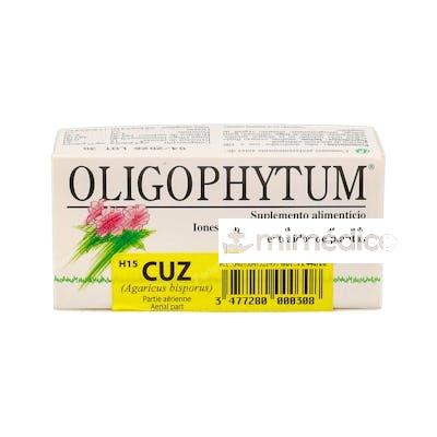 OLIGOPHYTUM COBRE+ZINC 100GRA HOLISTICA