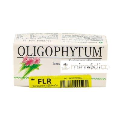 OLIGOPHYTUM FLUOR 100GRA HOLISTICA