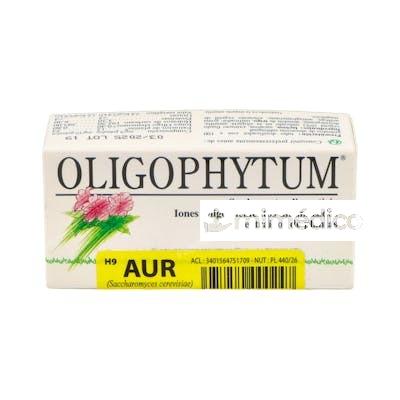 OLIGOPHYTUM ORO 100GRA HOLISTICA