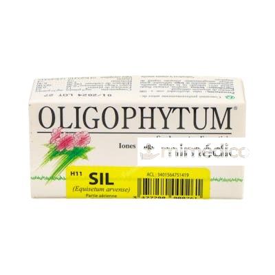OLIGOPHYTUM SILICIO 100GRA HOLISTICA