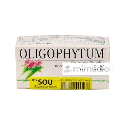 OLIGOPHYTUM H12 SOU (AZUFRE) 100GRA HOLISTICA