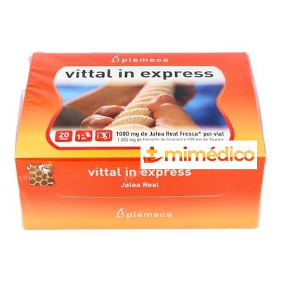 VITAL IN EXPRESS JALEA REAL 20AMP PLAMECA