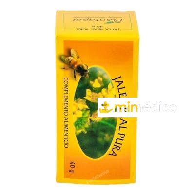 JALEA REAL FRESCA 40GR. (REFRIGERACION) PLANTAPOL