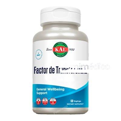 FACTOR DE TRANSFERENCIA 60CAP. KAL SOLARAY