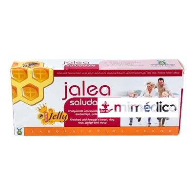 JALEA SALUDABLE 20VIALES TEGOR