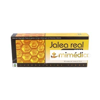 ENERGY 2000 JALEA REAL 20 AMP. TEGOR