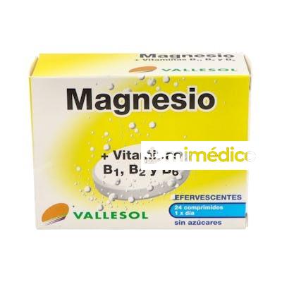 VALLESOL MAGNESIO+B EFERVESCENTE 24COMP. VALLESOL